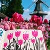 love_yingying